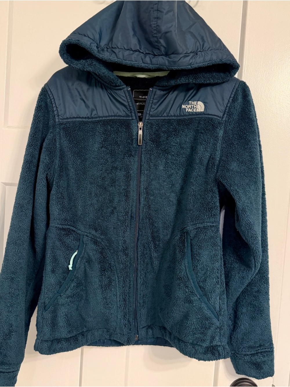 The North Face Teal Hooded Sherpa Fleece Jacket